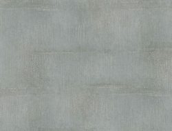 CD-5011 BS