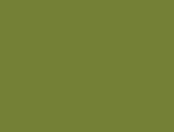 CS1-6049 LM