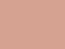 CS1-6055 LM