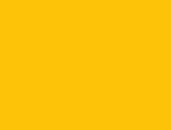 CS1-6074 LM