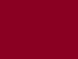 CS1-6079 LM