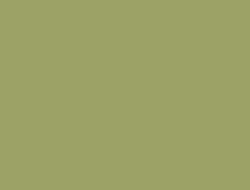 CS1-6083 LM