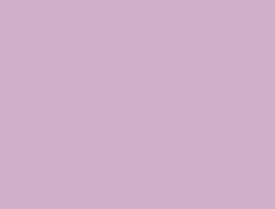 CS1-6113 LM