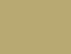 CS1-6114 LM