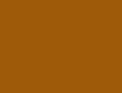 CS1-6121 LM