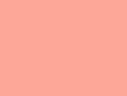 CS1-6138 LM