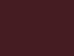 CS1-6141 LM