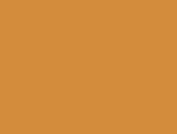 CS1-6144 LM