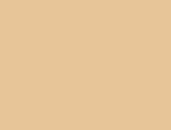 CS2-6101 RM
