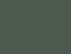 CS2-6109 RM