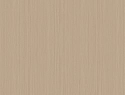 CW1-2113 LM