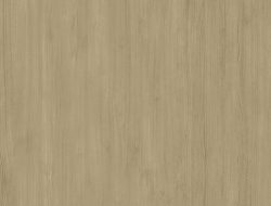 CW2-2132 CM