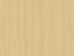 CW2-2210 NT