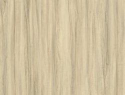 CW2-2221 RW