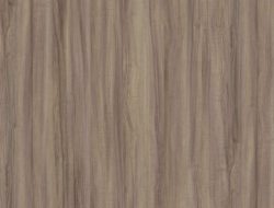 CW2-2222 RW